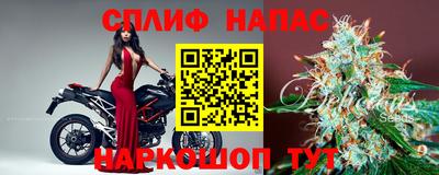 крисы Донской
